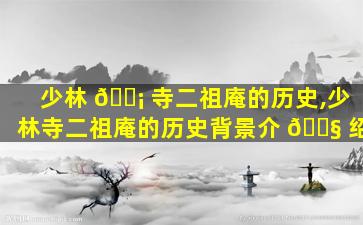 少林 🐡 寺二祖庵的历史,少林寺二祖庵的历史背景介 🐧 绍